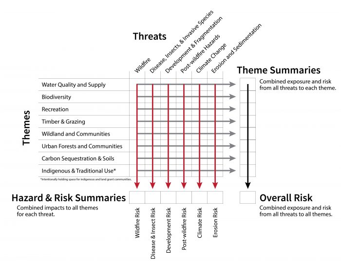 2020 Forest Action Plan – Statewide Natural Resources Assessment And ...